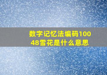 数字记忆法编码100 48雪花是什么意思